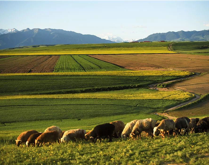 云顶集团(中国区)官方网站